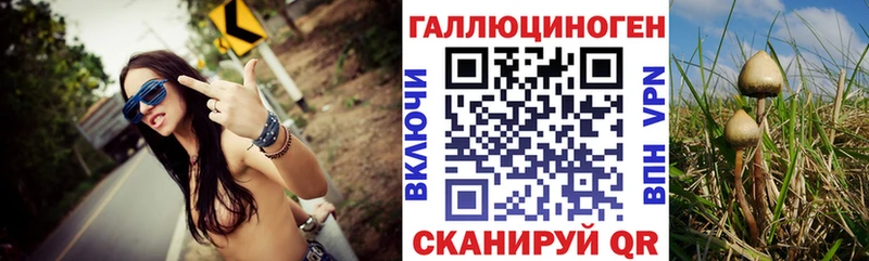 Купить закладки  Зеленокумск  Псилоцибиновые грибы Psilocybine cubensis 