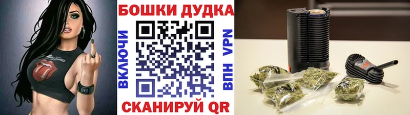 Бошки марихуана Bruce Banner  Купить где  Зеленокумск 